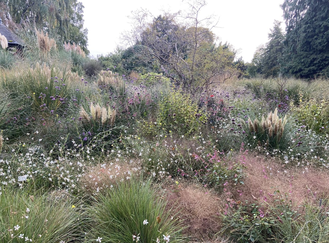 Pflanzberatung Marugg Gartenpflege